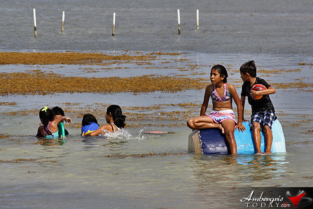 Ceviche Preparing Competition at Dia De San Pedro Beach Party Fun Island Activities to Celebrate Dia de San Pedro
