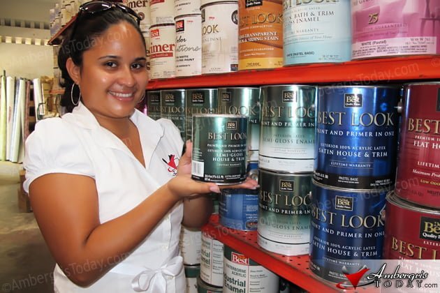 Do It Best - Best Look - Paint and Primer in One! Dorian's Angels - Castillo's Hardware
