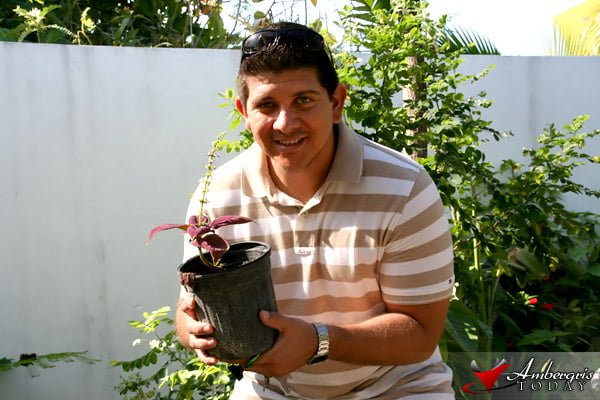 Bitten by the Lady Bug 2 Lady Bug