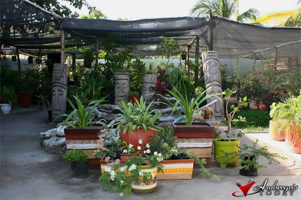 Bitten by the Lady Bug 5 Lady Bug