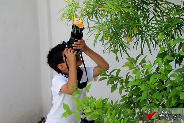 Bitten by the Lady Bug 12 Lady Bug