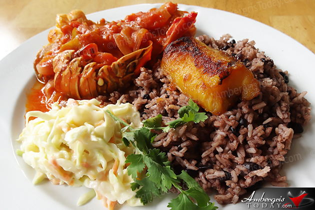 Stewed Lobster with Rice and Beans at El Fogon Lobster Season to Close on February 15th