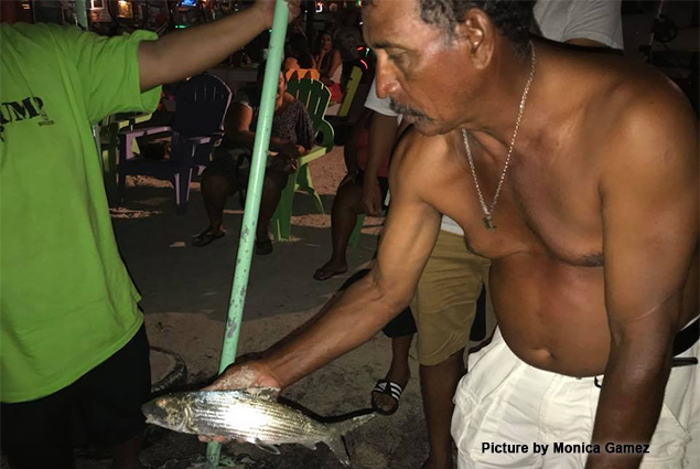 Island Residents Startled as Fish Wash Ashore 