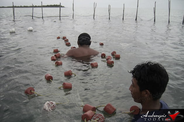 San Pedro Islanders Loved Windy Days!