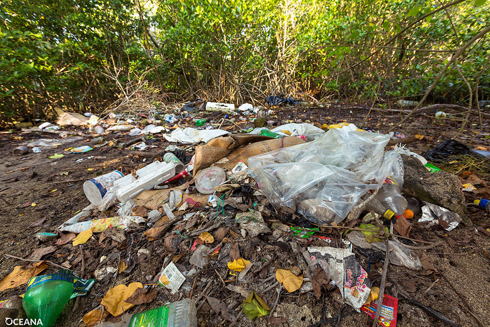 Fishy Art Heightens Awareness About Rising Tide of Pollutants Fishy Art Heightens Awareness About Rising Tide of Pollutants
