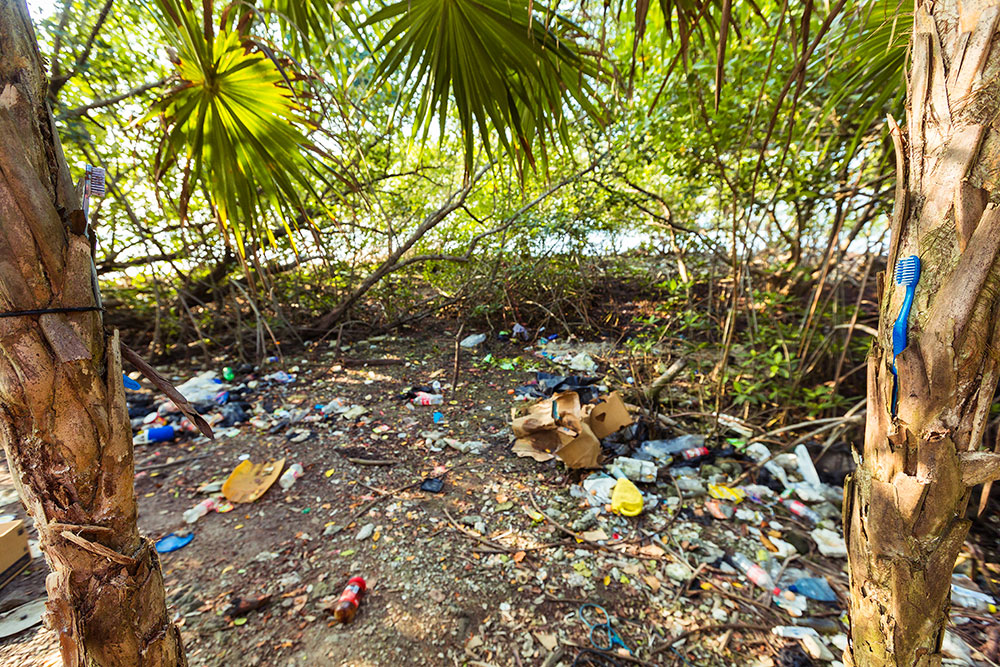 Fishy Art Heightens Awareness About Rising Tide of Pollutants Fishy Art Heightens Awareness About Rising Tide of Pollutants