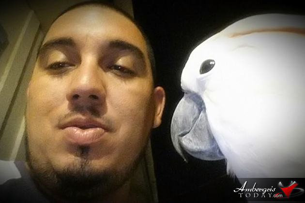 Pet Bird Owners in San Pedro Taken by Surprise and Furious at Forestry Department