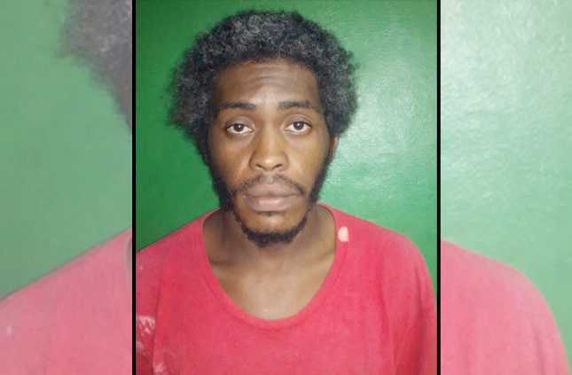 Police Report on Assault and Arrest on Attempted Murder