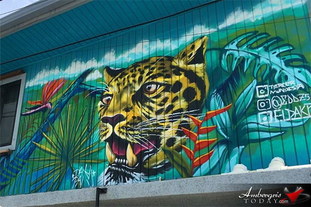 Graffiti is writing or drawings made on a wall or other surface, usually as a form of artistic expression, usually done without permission and within public view. Our little town is coming alive with lots of colors and spectacular graffiti drawings and in most cases with permission of the owners.   This week we shared with you a cool pic of the week where you can see an awesome drawing of a brown skinned girl rocking a “tree” fro! And for your enjoyment we went around town to take pictures of other cool drawings.