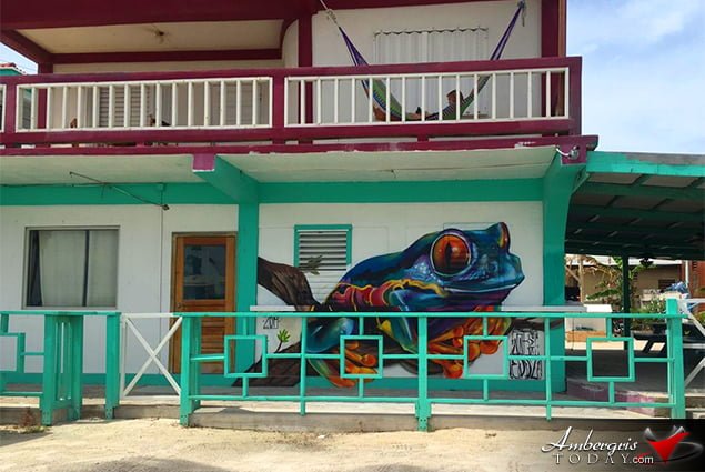 Graffiti is writing or drawings made on a wall or other surface, usually as a form of artistic expression, usually done without permission and within public view. Our little town is coming alive with lots of colors and spectacular graffiti drawings and in most cases with permission of the owners.   This week we shared with you a cool pic of the week where you can see an awesome drawing of a brown skinned girl rocking a “tree” fro! And for your enjoyment we went around town to take pictures of other cool drawings.