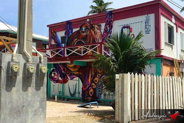 Graffiti is writing or drawings made on a wall or other surface, usually as a form of artistic expression, usually done without permission and within public view. Our little town is coming alive with lots of colors and spectacular graffiti drawings and in most cases with permission of the owners.   This week we shared with you a cool pic of the week where you can see an awesome drawing of a brown skinned girl rocking a “tree” fro! And for your enjoyment we went around town to take pictures of other cool drawings.