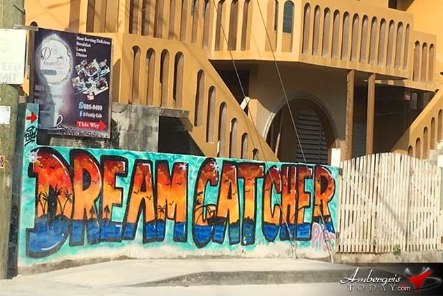 Graffiti is writing or drawings made on a wall or other surface, usually as a form of artistic expression, usually done without permission and within public view. Our little town is coming alive with lots of colors and spectacular graffiti drawings and in most cases with permission of the owners.   This week we shared with you a cool pic of the week where you can see an awesome drawing of a brown skinned girl rocking a “tree” fro! And for your enjoyment we went around town to take pictures of other cool drawings.