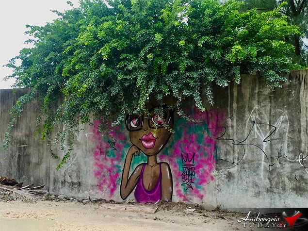 Graffiti is writing or drawings made on a wall or other surface, usually as a form of artistic expression, usually done without permission and within public view. Our little town is coming alive with lots of colors and spectacular graffiti drawings and in most cases with permission of the owners.   This week we shared with you a cool pic of the week where you can see an awesome drawing of a brown skinned girl rocking a “tree” fro! And for your enjoyment we went around town to take pictures of other cool drawings.