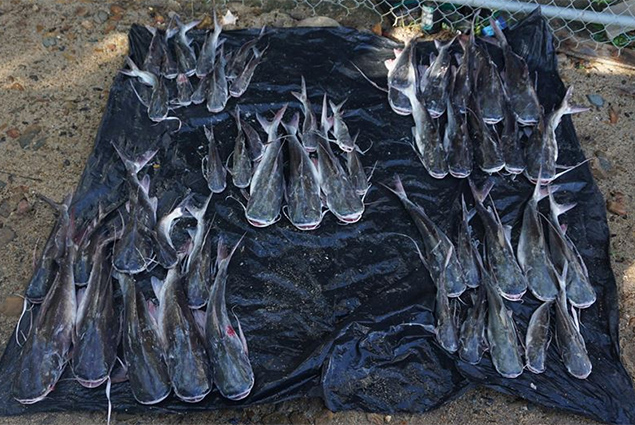 Two Guatemalan Fishermen Caught Fishing Illegally in Southern Belize 1 Two Guatemalan Fishermen Caught Fishing Illegally in Southern Belize