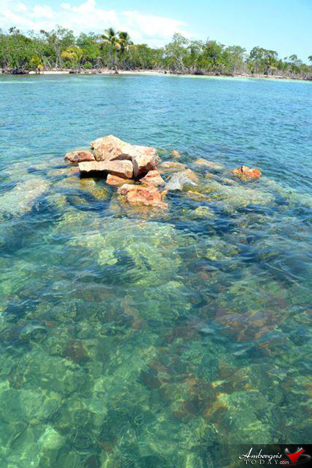 Harvest Caye Coral Reef Damage Harvest Caye Coral Reef Damage