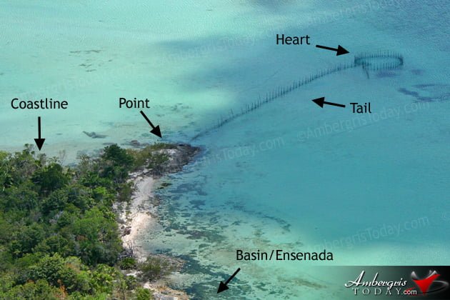 Heart-Shaped Fish Wire Trap Description