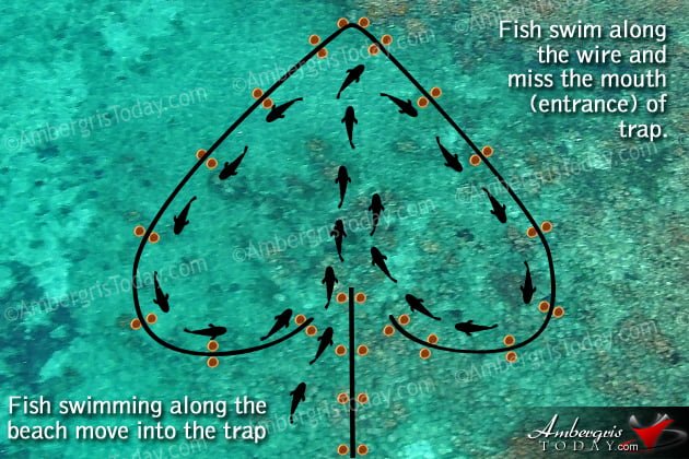 Heart-Shaped Fish Wire Trap Description