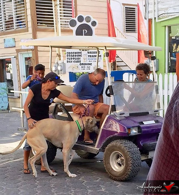 HGTV Shuts Down Section Pescador Drive for Filming