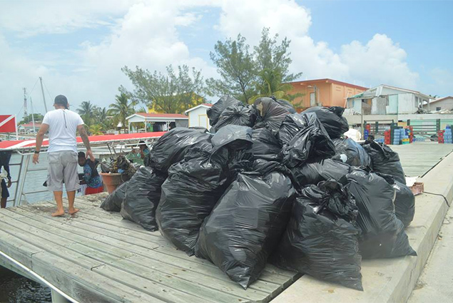 It’s a wrap! – Successful Reef Week 2018 comes to an end!