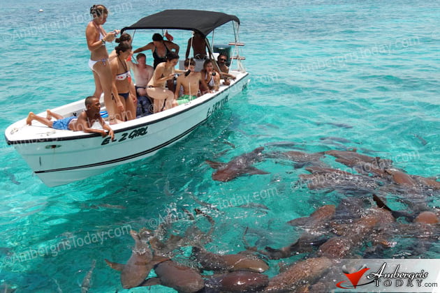 Hol Chan’s Corals are Sick, Locals Administering Antibiotics 1 Hol Chan’s Corals are Sick, Locals Administering Antibiotics