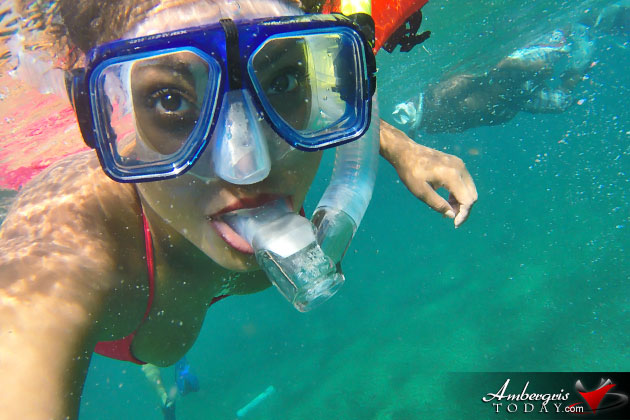 Dive Bands Required for Recreational Use at Hol Chan Marine Reserve