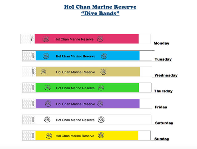 Dive Bands Required for Recreational Use at Hol Chan Marine Reserve