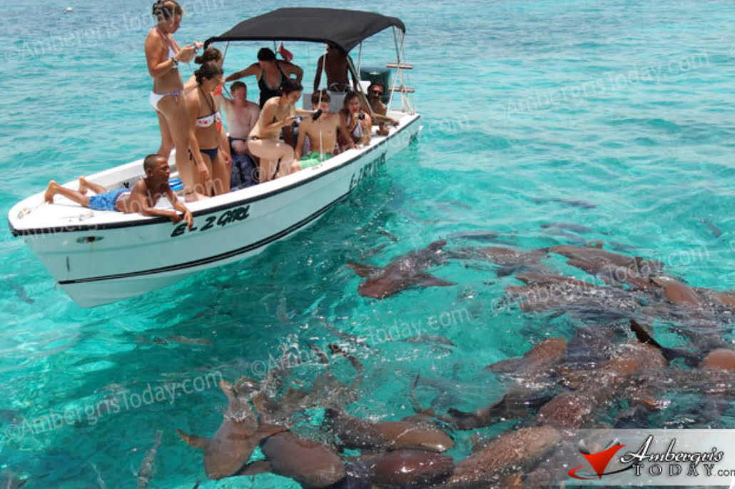 Hol Chan Marine Reserve In Dire Need of Monetary Assistance 