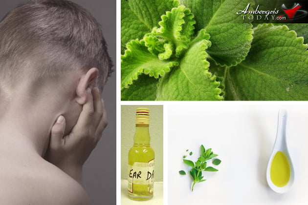 Belize Home Remedies -The Miraculous Herbs