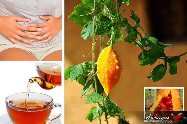 Belize Home Remedies -The Miraculous Herbs