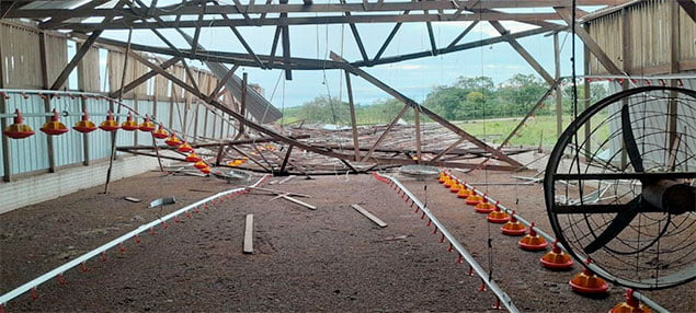 Belize City Suffers Brunt of Hurricane Lisa