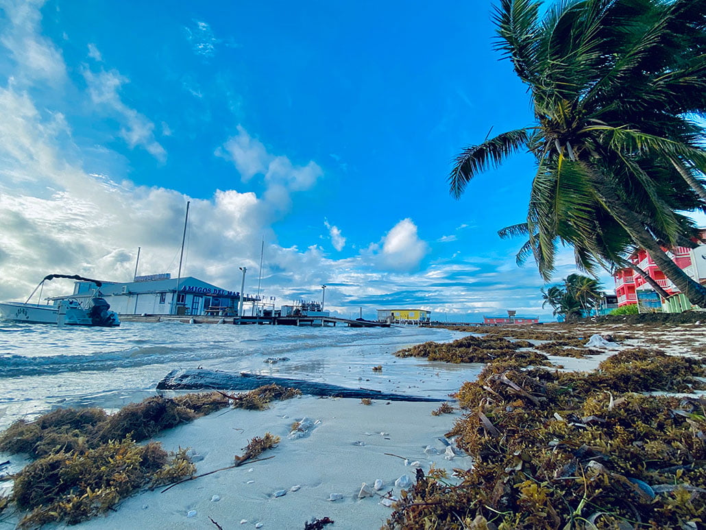 Belize City Suffers Brunt of Hurricane Lisa