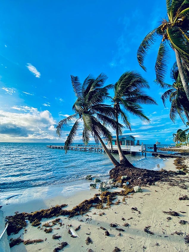 Belize City Suffers Brunt of Hurricane Lisa