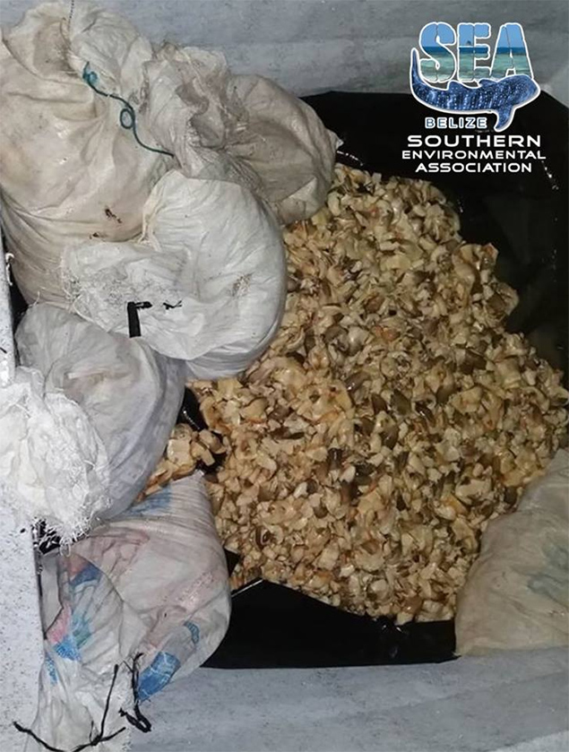 SEA Rangers Make Illegal Product Bust near Reserve in Placencia