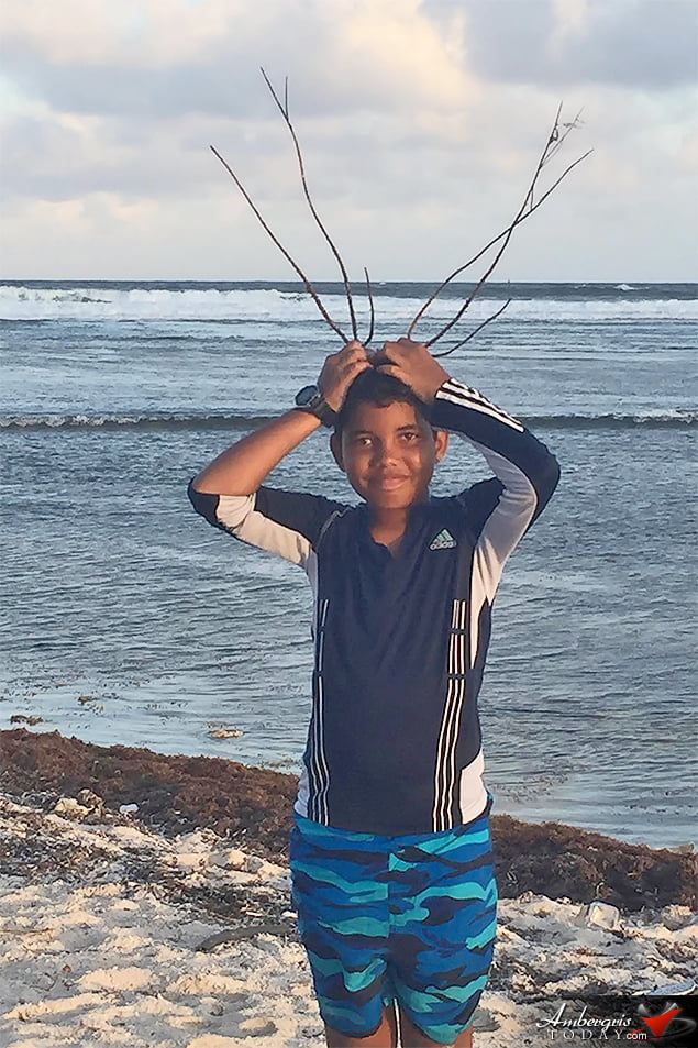 12-Year-Old Jeffrey Rescues Entangled Sea Turtle