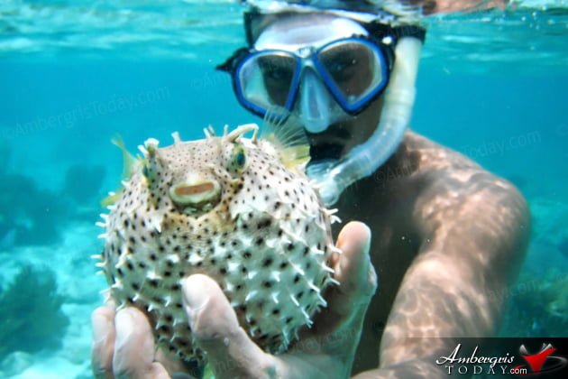 Rest in Peace Jeffrey Eiley Rest in Peace Jeffrey Eiley