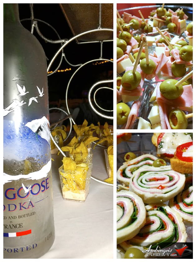 The Goose is on the Loose Birthday Bash