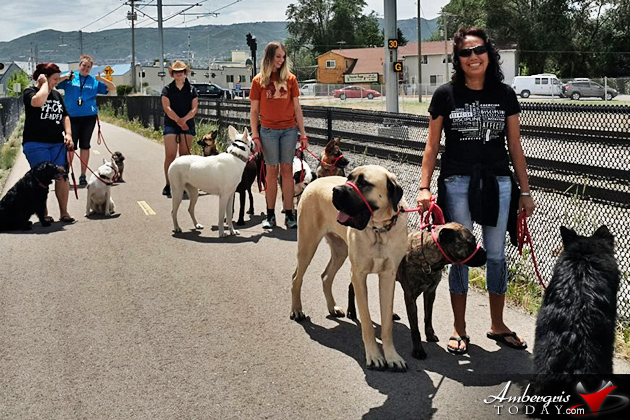 SAGA Board Directors Train with Leading Dog Experts Abroad