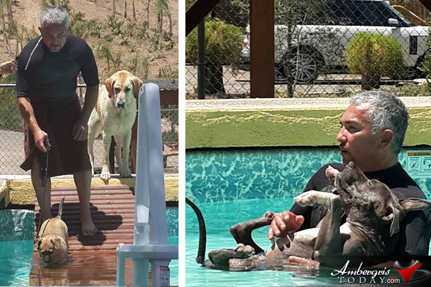 SAGA Board Directors Train with Leading Dog Experts Abroad