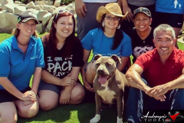 SAGA Board Directors Train with Leading Dog Experts Abroad