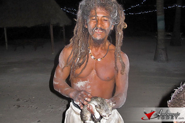 Ambergris Today's Kitten Rescue