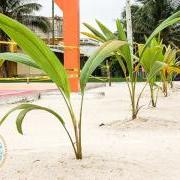 Canary Coves Sponsors Park Beautification