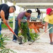 Canary Coves Sponsors Park Beautification