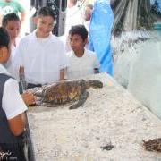 Reef Week 2014 Celebrated in San Pedro