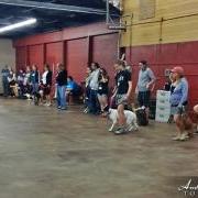 SAGA Board Directors Train with Leading Dog Experts Abroad