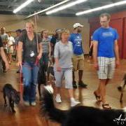 SAGA Board Directors Train with Leading Dog Experts Abroad