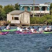 San Pedro Lagoon Reef Eco Challenge Day One Team Coco Beach Wins Toughest Lagoon Reef Eco Challenge Yet