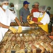 Seafood Market Opens in San Pedro, Ambergris Caye