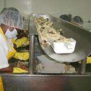 Seafood Market Opens in San Pedro, Ambergris Caye