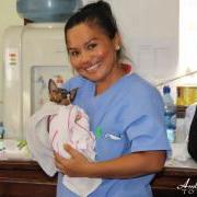 Saga Humane Society Addresses Over Population of Dogs Saga Humane Society Addresses Over Population of Dogs