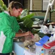 Saga Humane Society Addresses Over Population of Dogs Saga Humane Society Addresses Over Population of Dogs